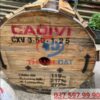 Dây cáp CXV 3x50 1x25 CADIVI