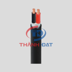 Dây cáp điện CVV/DSTA 2 lõi CADIVI 0,6/1kV, hạ thế, ruột đồng, chôn ngầm