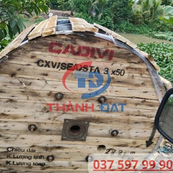 Dây cáp CXV SE DSTA 3x50 CADIVI