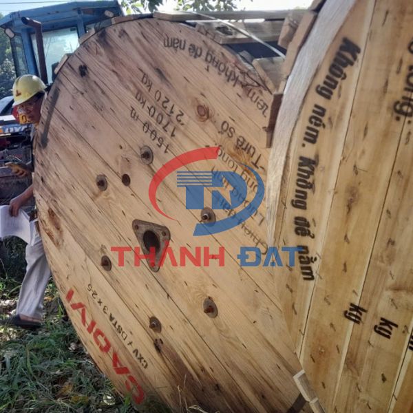 Dây cáp điện CXV/DSTA 3x25mm2 CADIVI