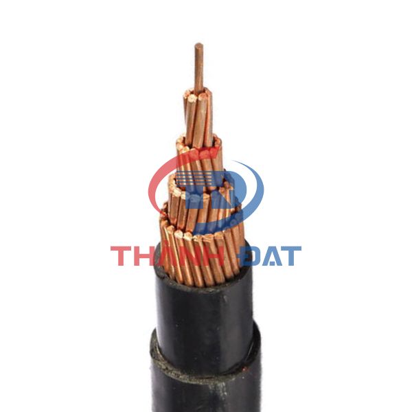 Dây cáp điện CV 7 sợi CAP Thăng Long 0,6/1KV