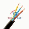 Dây điện VCmt Thăng Long 300/500V