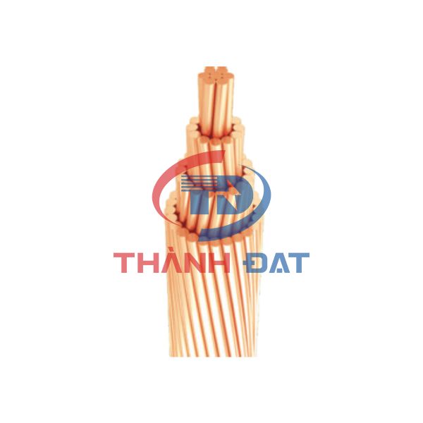 Cáp đồng trần C Thăng Long