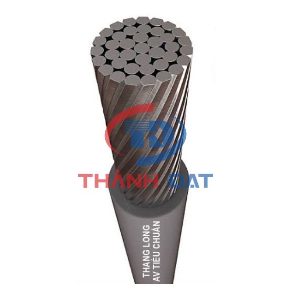 Dây cáp AV Thăng Long 0,6/1KV
