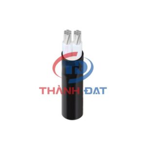 Dây cáp AXV 2 lõi Thăng Long 0,6/1KV