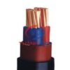 Dây cáp CVV Thăng Long 0,6/1KV