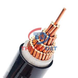Dây cáp CXV 1 lõi Thăng Long 0,6/1KV