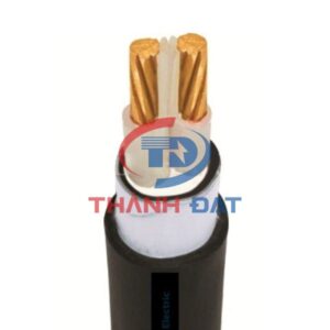Dây cáp CXV 2 lõi Thăng Long 0,6/1KV