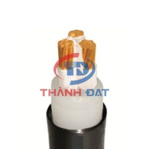 Dây cáp CXV 3 lõi Thăng Long 0,6/1KV