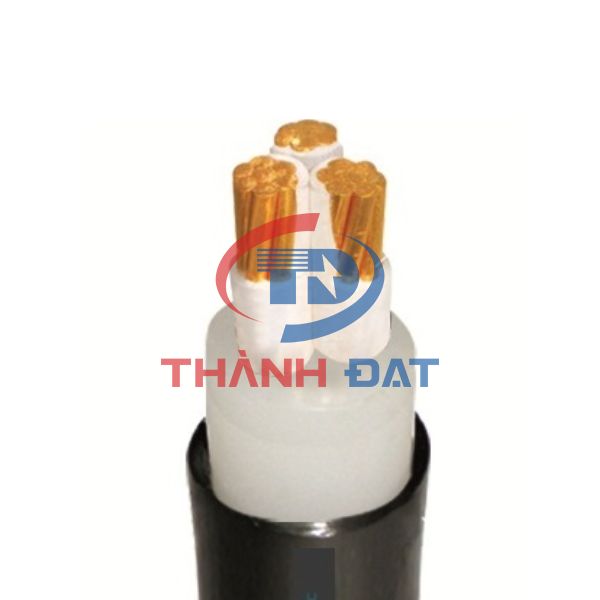 Dây cáp CXV 3 lõi Thăng Long 0,6/1KV