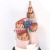 Dây cáp CXV Thăng Long 0,6/1KV