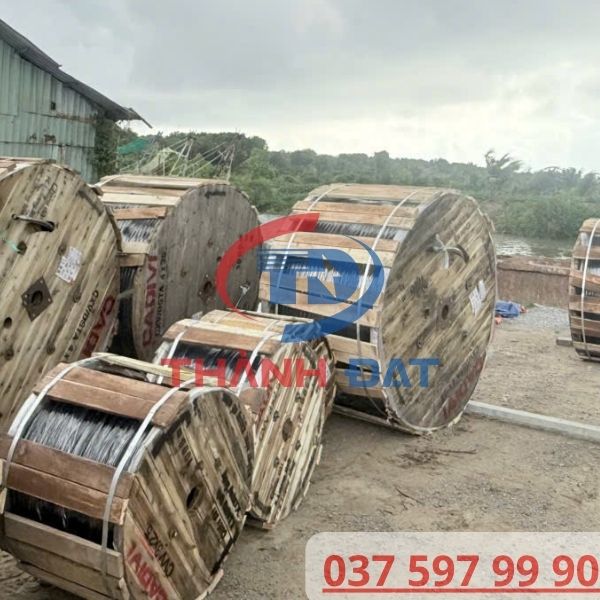 Dây cáp điện CXV/DSTA CADIVI chính hãng khu vực miền Nam, giao nhanh, giá tốt