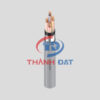 Dây cáp điện kế Muller DK-CXV DAPHACO 0,6/1KV