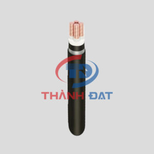 Dây cáp điện CXV/DSTA LS VINA 24KV