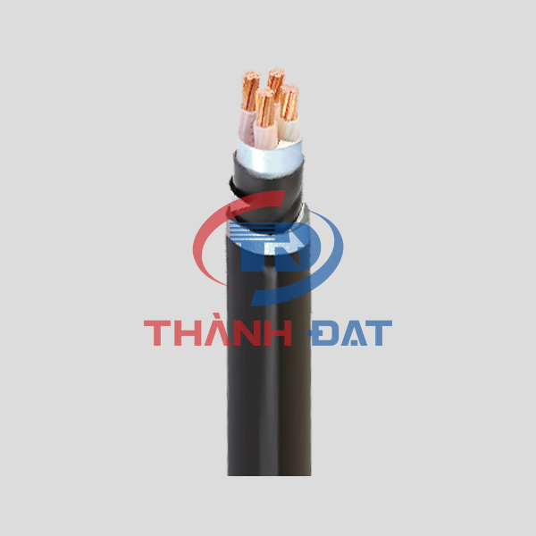 Dây cáp điện CXV/DSTA LS VINA
