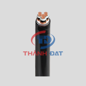 Dây cáp điện CXV LS VINA 24KV