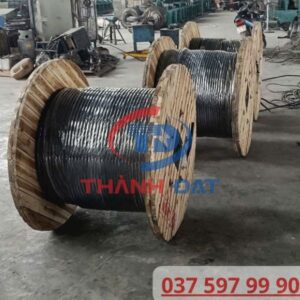 Thành Đạt Giao Hàng Cáp Lion DAPHACO 100 Mét Dự Án Cần Thơ