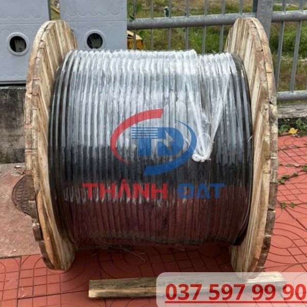 Thành Đạt bàn giao cuộn cáp LION DAPHACO 100 mét dự án Cần Thơ