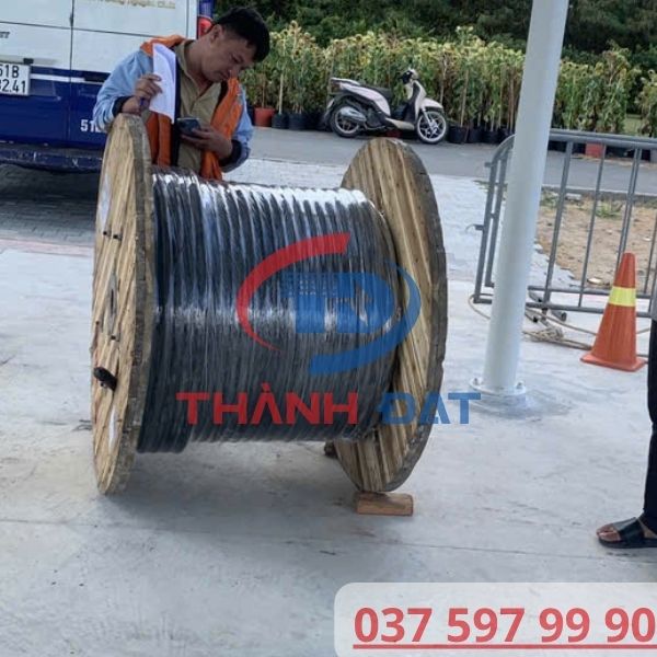 Thực Tế Giao Hàng Cáp Lion DAPHACO 100 Mét Dự Án Cần Thơ