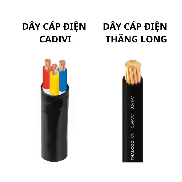 So Sánh Dây Cáp Điện CADIVI Và Thăng Long Chi Tiết